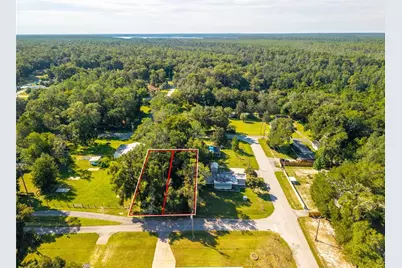 Magnolia Road, Altoona, FL 32702 - Photo 7