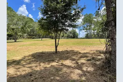 Calhoun Road, Eustis, FL 32726 - Photo 3