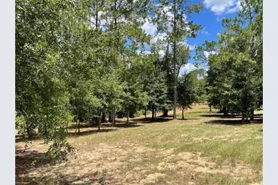 Calhoun Road, Eustis, FL 32726 - Photo 1