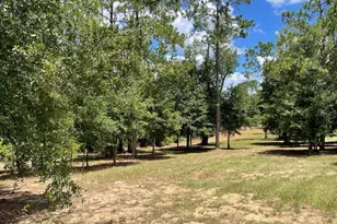 Calhoun Rd, Eustis, FL 32726 - Photo 1