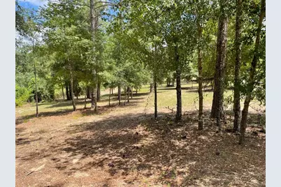 Calhoun Road, Eustis, FL 32726 - Photo 7
