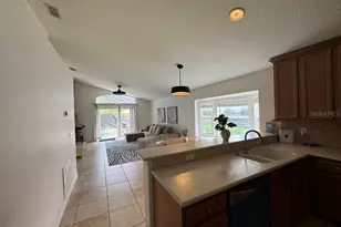 1101 Orange Cosmos Blvd, Davenport, FL 33837 - Photo 11