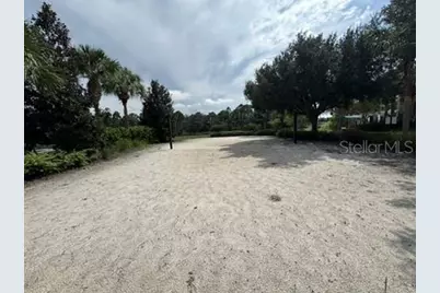 1101 Orange Cosmos Boulevard, Davenport, FL 33837 - Photo 41