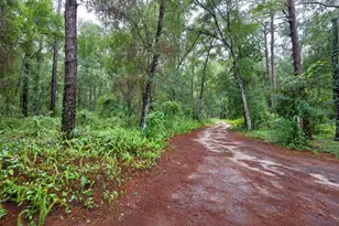 16145 SE 56 Pl Rd, Ocklawaha, FL 32179 - Photo 27