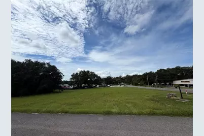 Laura Street, Sorrento, FL 32776 - Photo 5