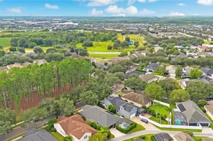 7030 Mapperton Dr, Windermere, FL 34786 - Photo 59