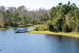 10335 Winding Marsh Trail, Orlando, FL 32832 - Photo 29