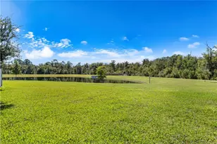 11730 Boldface Dr., Orlando, FL 32832 - Photo 27