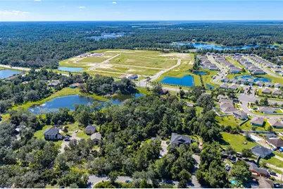 N/A Doyle Rd, Osteen, FL 32764 - Photo 9