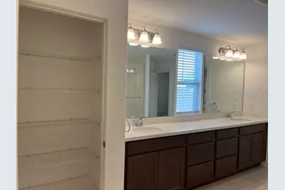 6325 Flat Lemon Drive, Winter Garden, FL 34787 - Photo 29