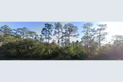 20106 E Colonial Drive, Christmas, FL 32709 - Photo 3