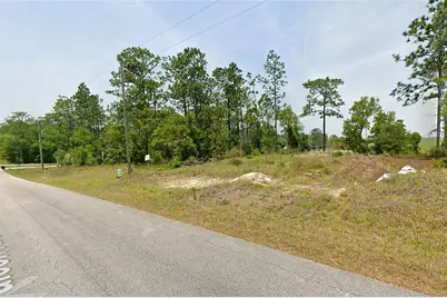 Nw Falcon Avenue, Dunnellon, FL 34431 - Photo 3