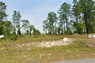 NW Falcon Ave, Dunnellon, FL 34431 - Photo 1