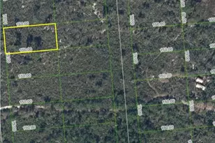 659 Buchanan St, Lake Placid, FL 33852 - Photo 1