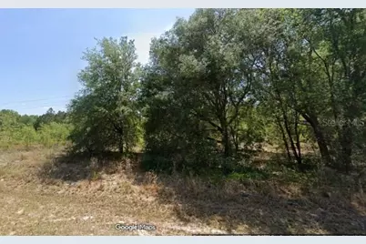 Locust Road, Ocala, FL 34472 - Photo 3