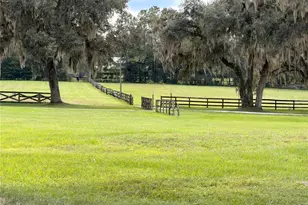 11501 NW 160th Ave, Morriston, FL 32668 - Photo 65