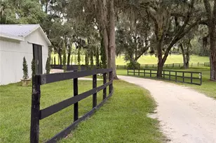 11501 NW 160th Ave, Morriston, FL 32668 - Photo 57