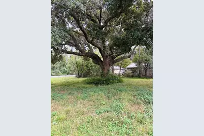 21103 Reindeer Road, Christmas, FL 32709 - Photo 3