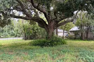 21103 Reindeer Rd, Christmas, FL 32709 - Photo 3