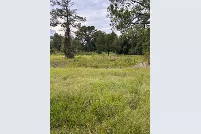 21103 Reindeer Road, Christmas, FL 32709 - Photo 17