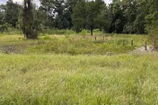 21103 Reindeer Rd, Christmas, FL 32709 - Photo 17