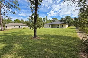 11430 N Cynthia Terrace, Dunnellon, FL 34434 - Photo 9
