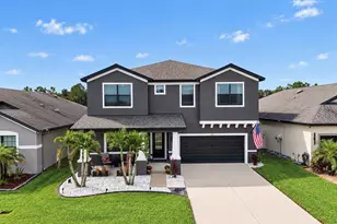 12112 Creek Preserve Dr, Riverview, FL 33579 - Photo 5