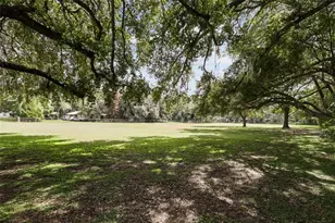 10232 Buck Rd, Orlando, FL 32817 - Photo 15