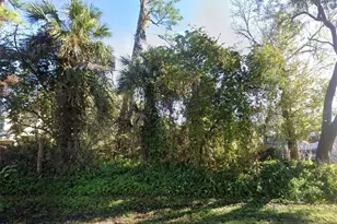 2311 Unity Tree Dr, Edgewater, FL 32141 - Photo 1