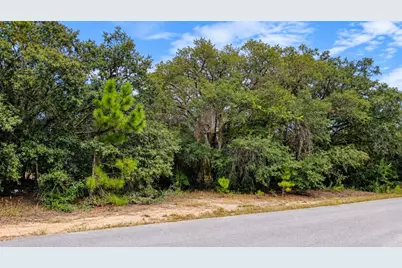 Tbd SE Malauka Loop Run Road, Ocklawaha, FL 32179 - Photo 1