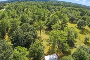 1533 Tiger Lake Rd, Lake Wales, FL 33898 - Photo 11