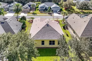 3003 New Haven Pl, Mount Dora, FL 32757 - Photo 35