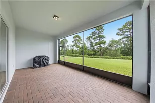 2769 Cherry Blossom Loop, Saint Cloud, FL 34771 - Photo 39