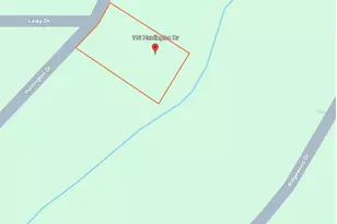 116 Huntington Dr, Georgetown, FL 32139 - Photo 1