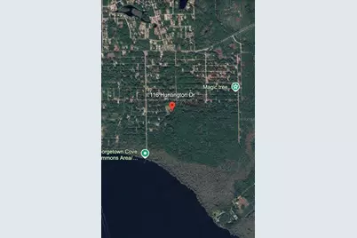 116 Huntington Drive, Georgetown, FL 32139 - Photo 5