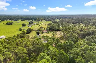 21320 Paradise Way, Eustis, FL 32736 - Photo 89