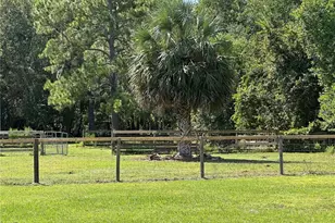 21320 Paradise Way, Eustis, FL 32736 - Photo 9