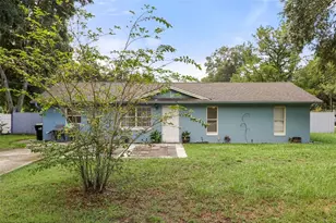 7008 Holly St, Mount Dora, FL 32757 - Photo 3