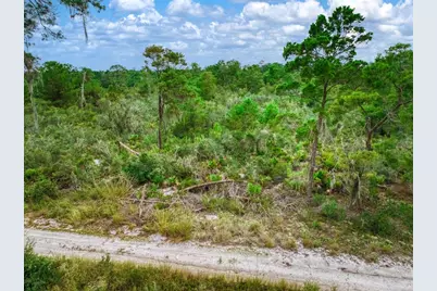 1222 Sandlewood Street, Lake Placid, FL 33852 - Photo 15