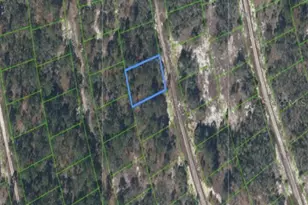 214 Island Mist Dr, Lake Placid, FL 33852 - Photo 1