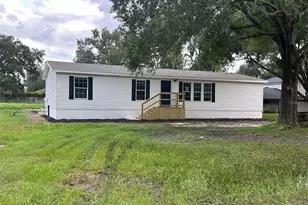 26326 Foamflower Blvd, Wesley Chapel, FL 33544 - Photo 1