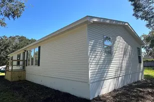 26326 Foamflower Blvd, Wesley Chapel, FL 33544 - Photo 3