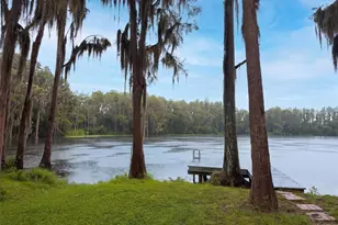 219 Willow Bend Pkwy, Lutz, FL 33549 - Photo 27