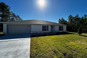 9 Slippery Rock Pl, Palm Coast, FL 32164 - Photo 1