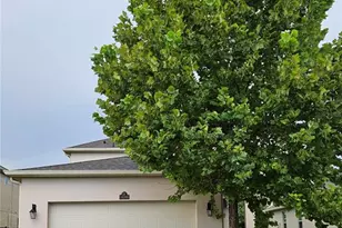 16366 Brisk Breeze Aly, Winter Garden, FL 34787 - Photo 15