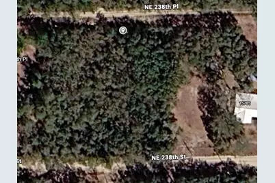 Ne 238th Pl, Fort Mc Coy, FL 32134 - Photo 1
