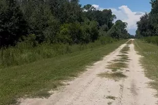 2836 W Starr Rd, Avon Park, FL 33825 - Photo 1