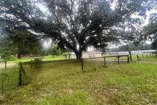 2031 SE 191st Terrace, Morriston, FL 32668 - Photo 23