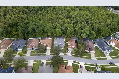 507 Canary Island Court, Orlando, FL 32828 - Photo 41