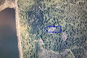 Dill Rd, Orlando, FL 32820 - Photo 1